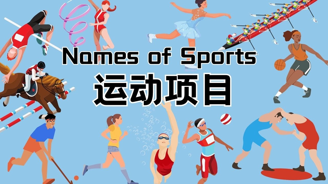 世界棒球经典赛历史数据回顾展出